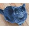 Diamond Dotz® Intermediate Velvet Diamond Painting Kit
